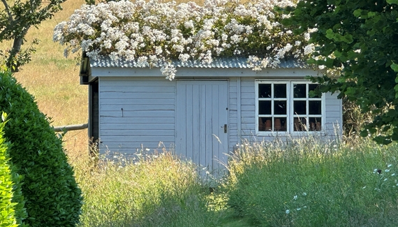 Little Pitt Place - Gallery