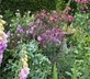 Little Pitt Place - Gallery - picture 