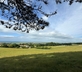 Little Pitt Place - Gallery - picture 