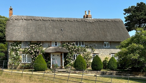 Little Pitt Place - Gallery