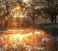 Hever Castle - Gallery - picture 