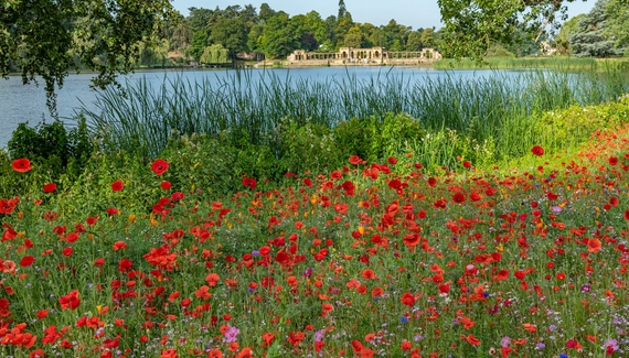 Hever Castle - Gallery