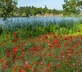Hever Castle - Gallery - picture 