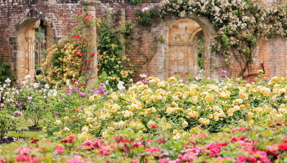 Medley Court at Hever Castle - Gallery