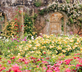 Medley Court at Hever Castle - Gallery - picture 