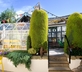 The Cartford - Gallery - picture 