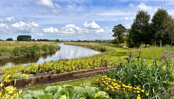 The Cartford - Gallery