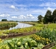 The Cartford - Gallery - picture 
