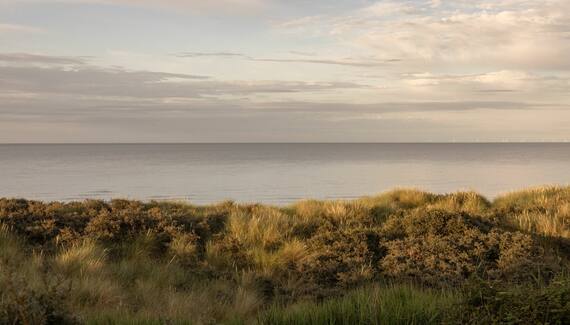 Beach Cottage, Anderby Creek - Gallery