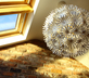 129 Didsbury - Gallery - picture 