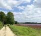 Cuckoo Bush Cottage - Gallery - picture 