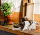 The End Shed - Gallery - picture 