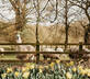 The Goat Shed - Gallery - picture 