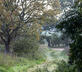 The Tack Rooms, The Stables, The Piggery - Gallery - picture 