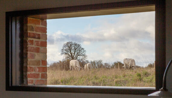The Tack Rooms, The Stables, The Piggery - Gallery