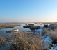 The White Horse - Gallery - picture 