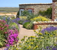 The White Horse - Gallery - picture 