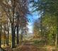 Chillingham Newtown - Gallery - picture 