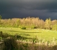 Coquet Cottage - Gallery - picture 