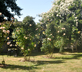 Hay Loft, Southlands Farm - Gallery - picture 