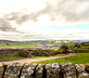 Laverick Cottage - Gallery - picture 