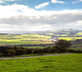 Laverick Cottage - Gallery - picture 