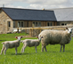 Teal House Learchild - Gallery - picture 