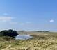 The Bothy - Gallery - picture 