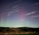 The Elm - Gallery - picture 