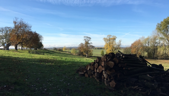 Langar Hall - Gallery