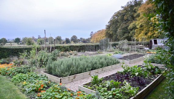 Langar Hall - Gallery