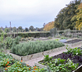 Langar Hall - Gallery - picture 