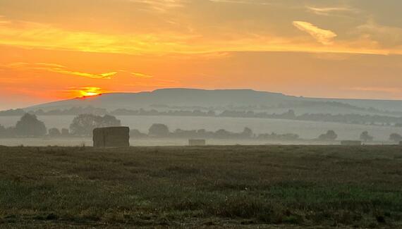 The Barn at Compton Marsh - Gallery