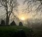 The Barn at Compton Marsh - Gallery - picture 