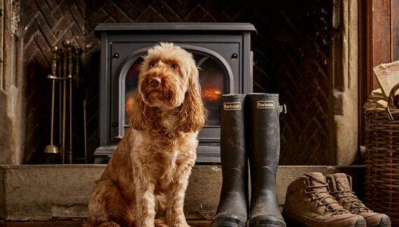 The Prince of Burford - Gallery