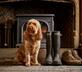 The Prince of Burford - Gallery - picture 