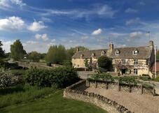The Swan