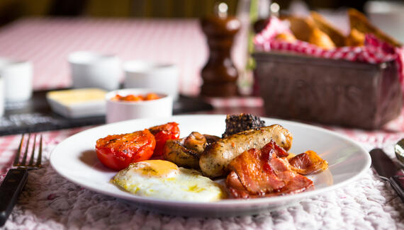 The Olive Branch - Gallery