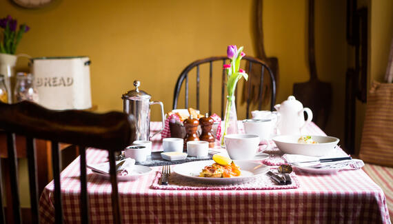 The Olive Branch - Gallery