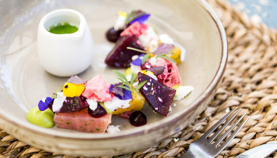 The Olive Branch - Gallery