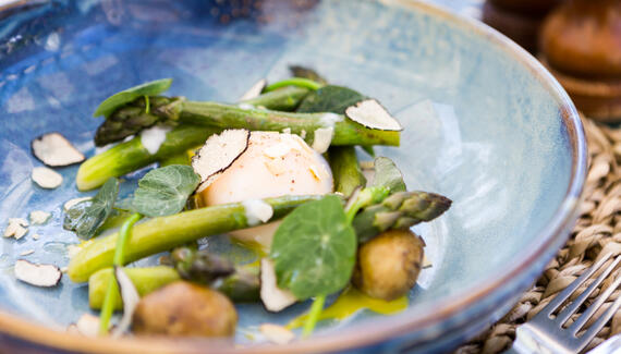 The Olive Branch - Gallery