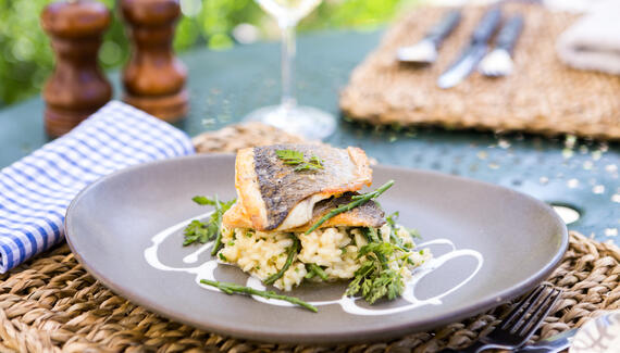 The Olive Branch - Gallery