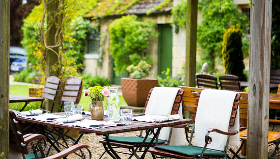 The Olive Branch - Gallery