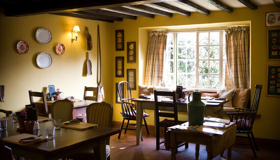 The Olive Branch - Gallery