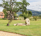 Crow Leasow Farm - Gallery - picture 