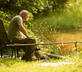 Middle Farm & Cottages - Gooseyard Cottage - Gallery - picture 