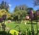 The Castle Hotel - gallery - picture 