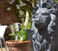 The Lion & Pheasant - Gallery - picture 