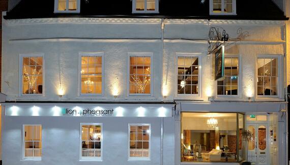 The Lion & Pheasant - Gallery
