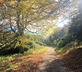 The Pheasant at Neenton - Gallery - picture 
